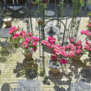 Hotel Gradlon (39)-1